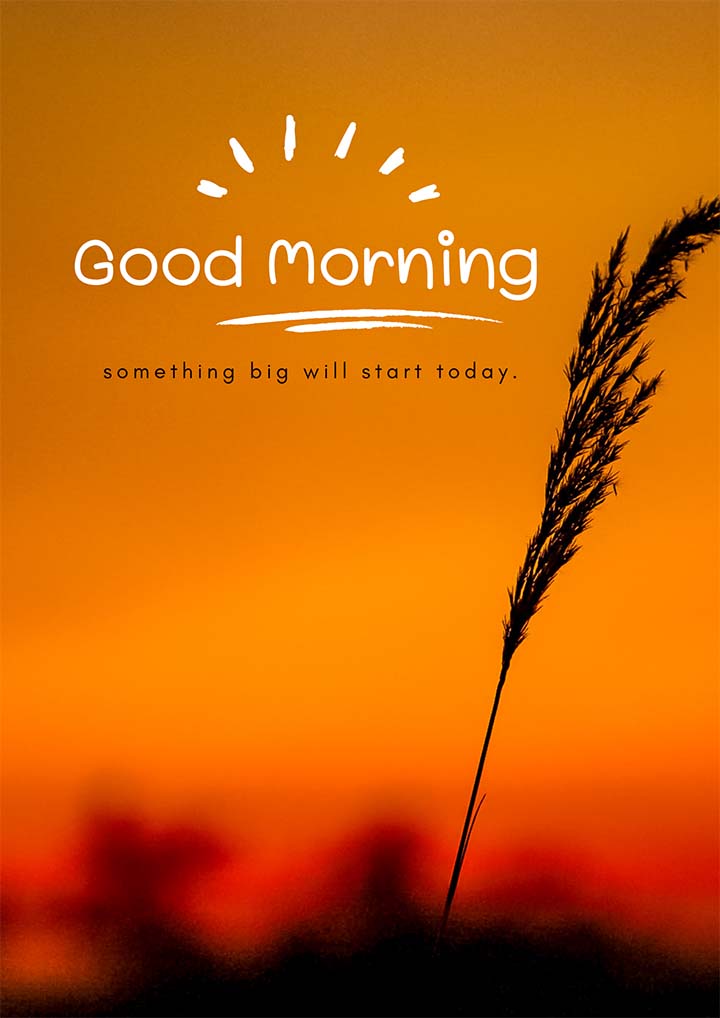 Good Morning Pictures