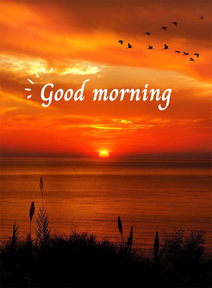 Early Good Morning Background Image