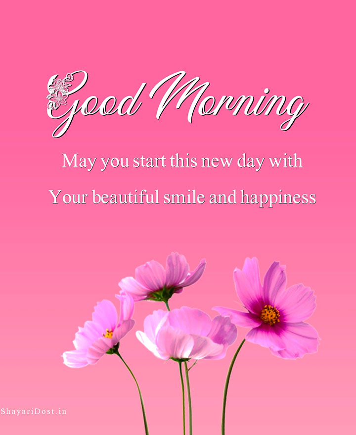 Cute Flowers Good Morning Picture