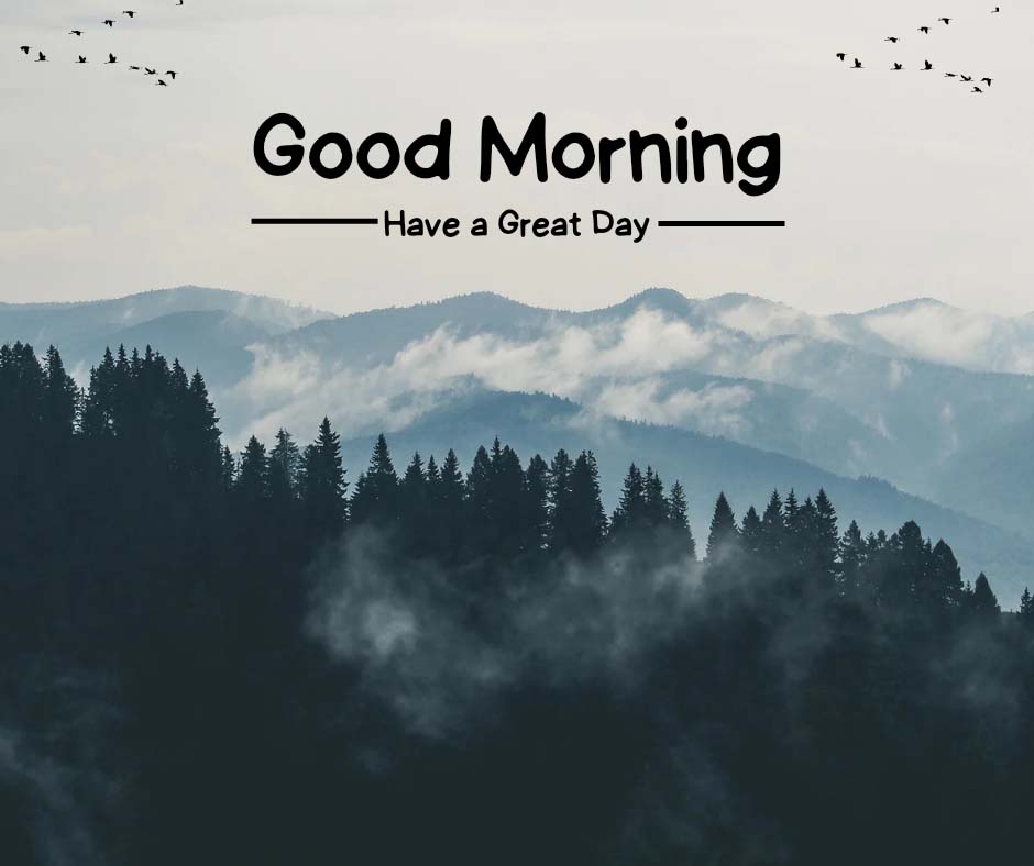 Good Morning Image Nature