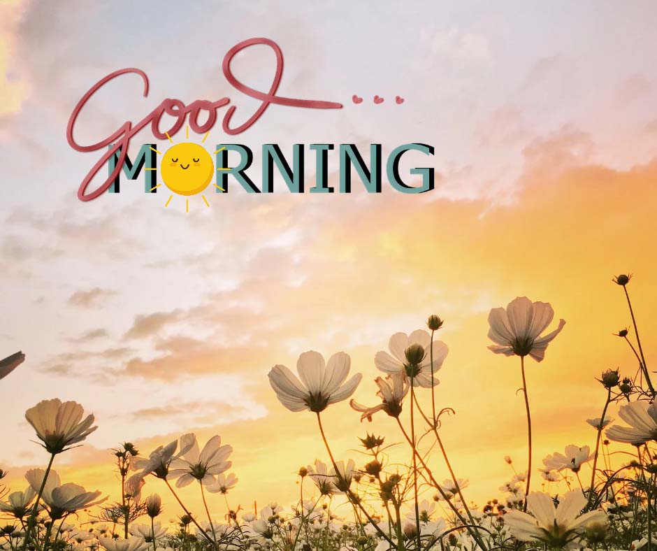 Good Morning Image