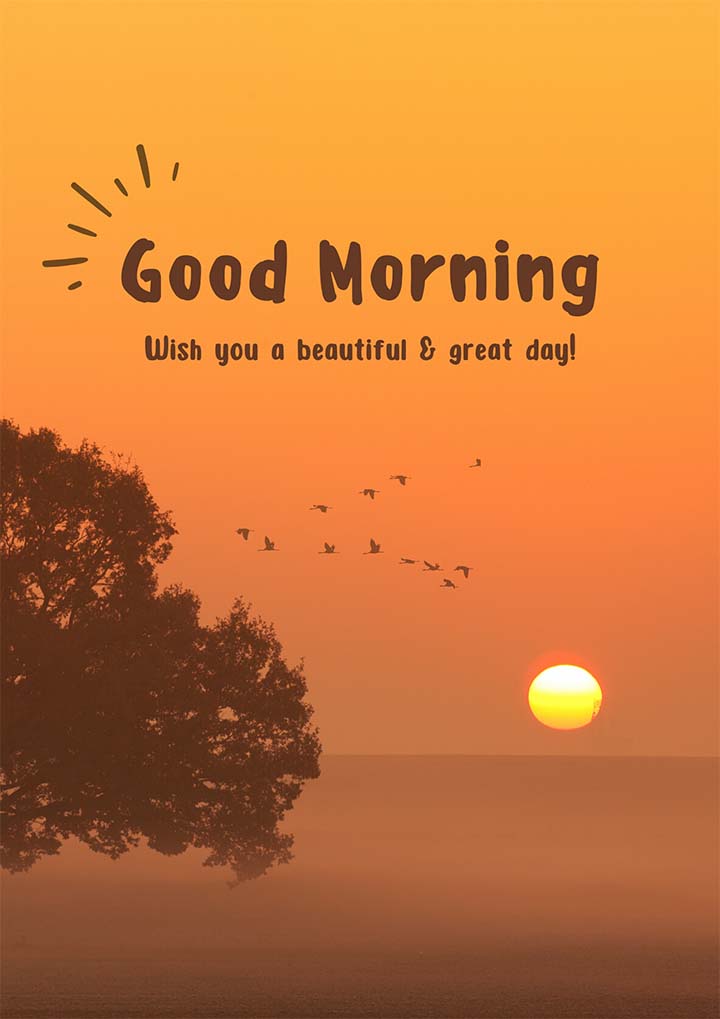 Beautiful Good Morning Images in Nature