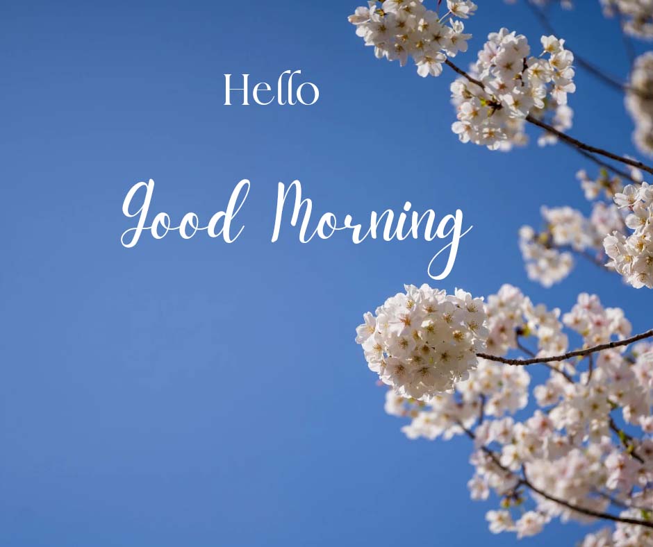 Good Morning Images With White Flowers In Sky Background