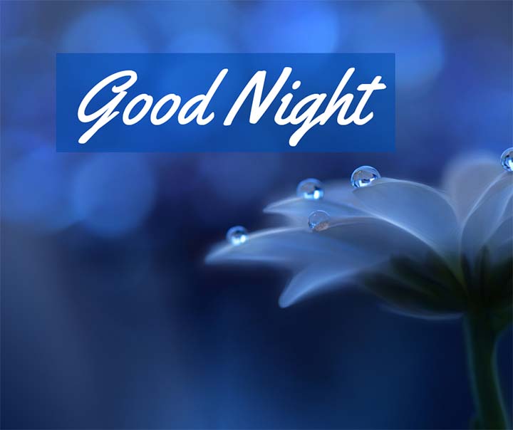 Good Night Status