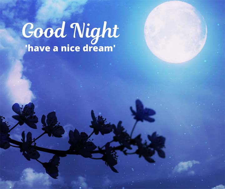Nice Good Night Images With Moon Light
