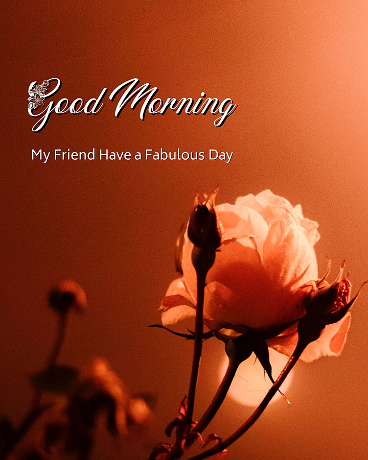 Best Good Morning Photograph