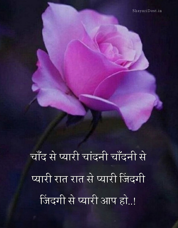 Beautiful Praise Shayari For GF Romantic