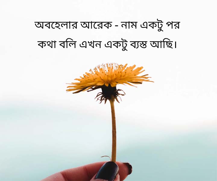 Bengali Caption