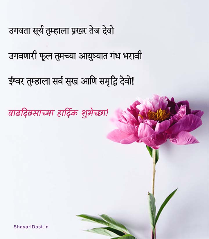 Birthday Wishes For Mother in Marathi