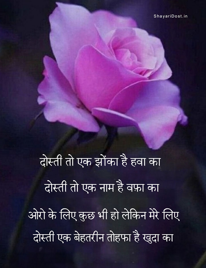Friendship Quotes Shayari