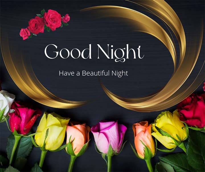 Good Night Images With Rose