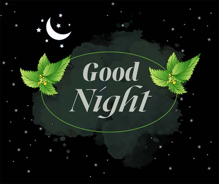 Good Night Picture