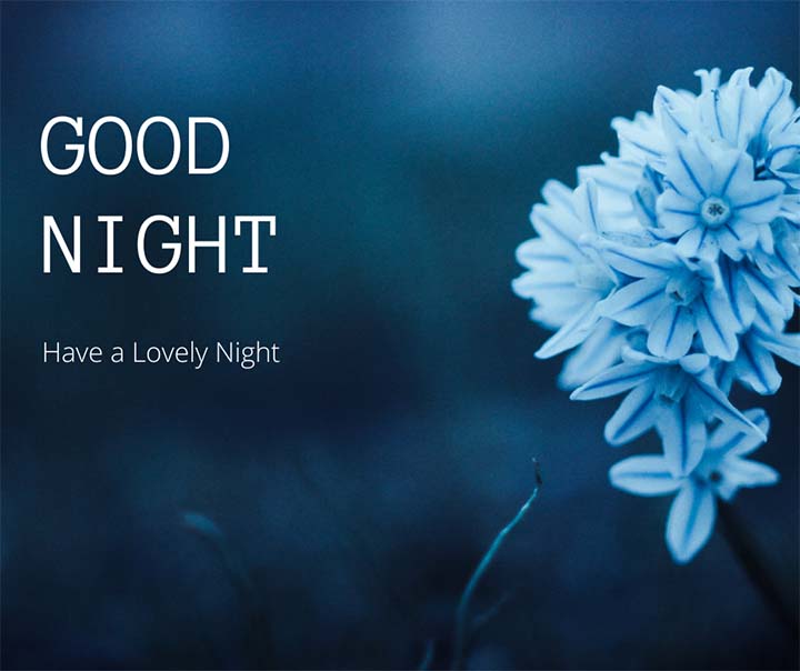 Good Night Pics