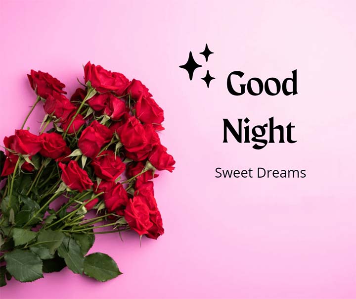 Good Night Images With Rose Flowers
