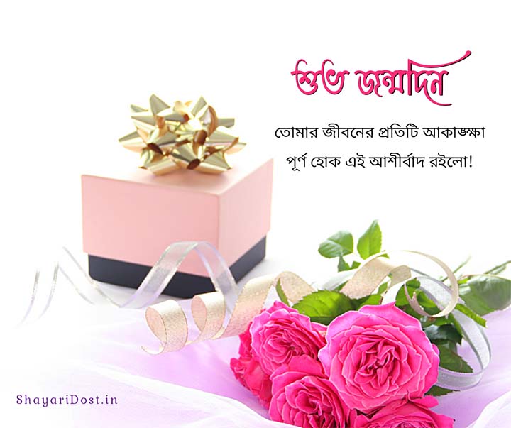 Jonmodiner Wish Bangla
