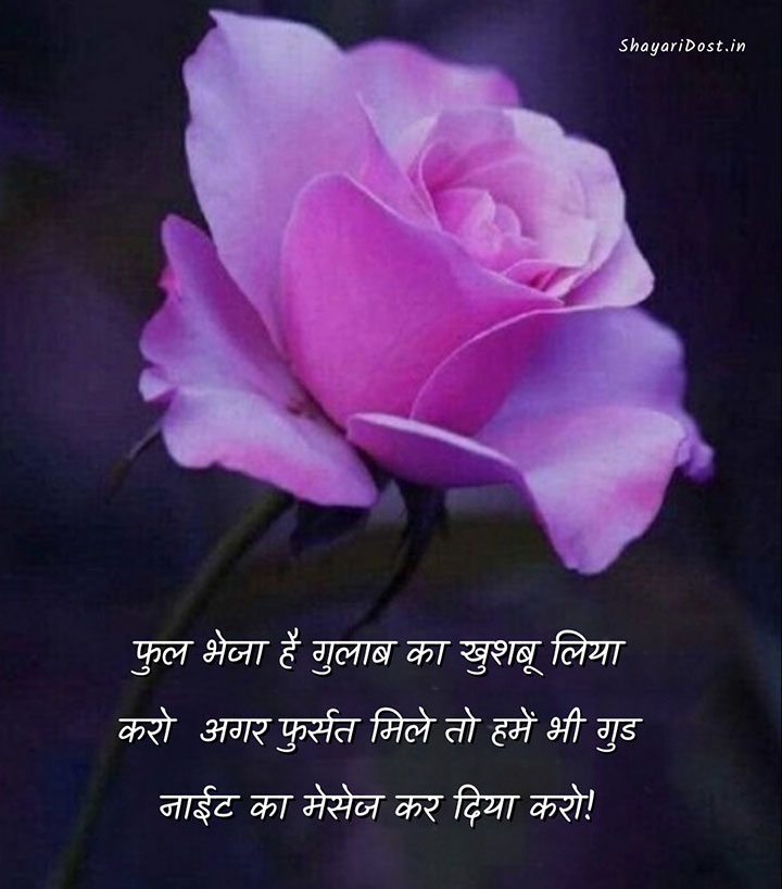  Good Night Shayari SMS
