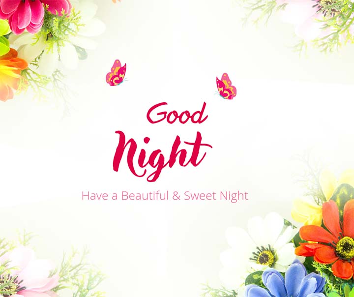 Good Night Wish Pic