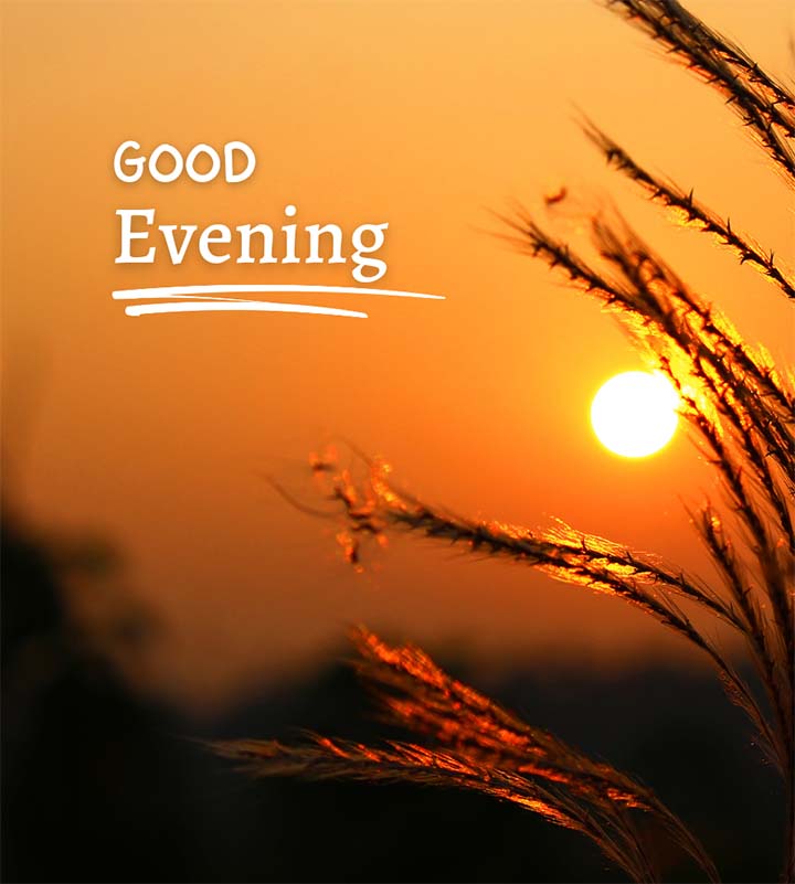 Good Evening Photo