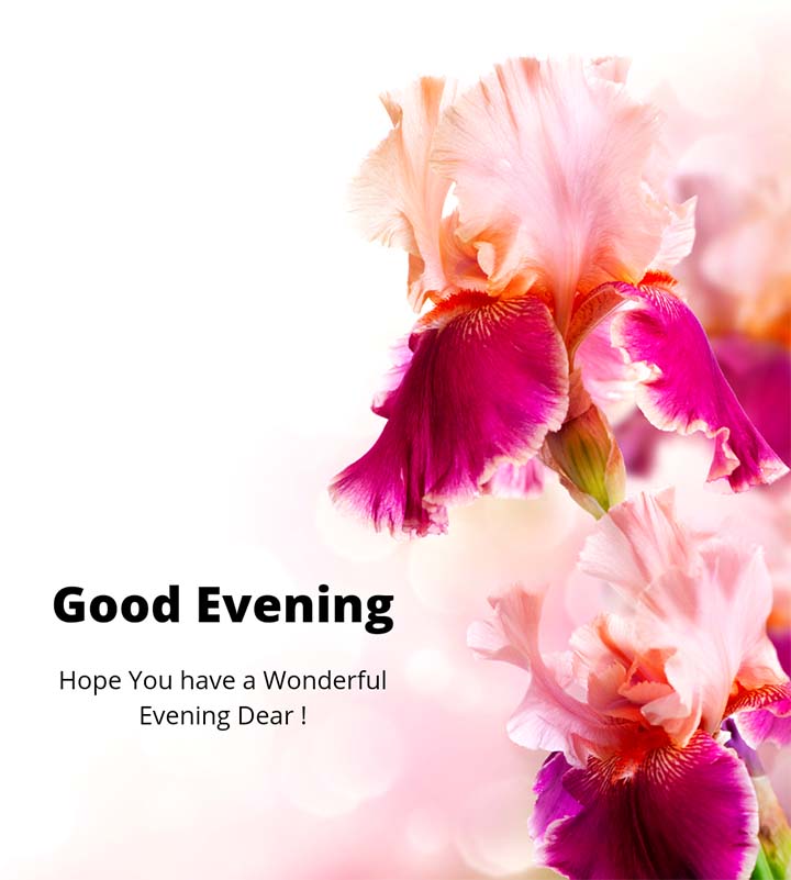 Good Evening Image With Flowers