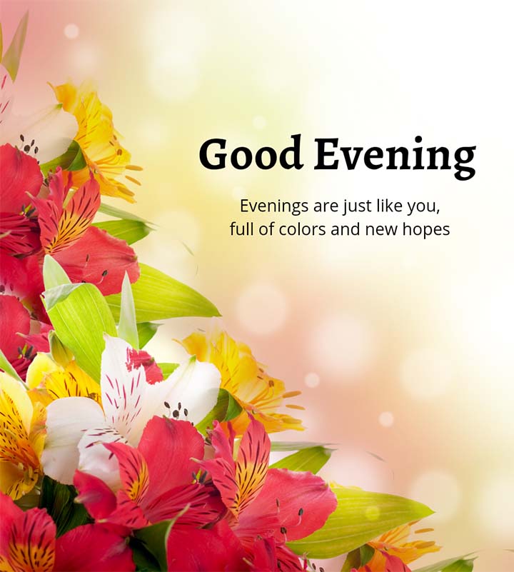 Good Evening Images With Colorful Flowers