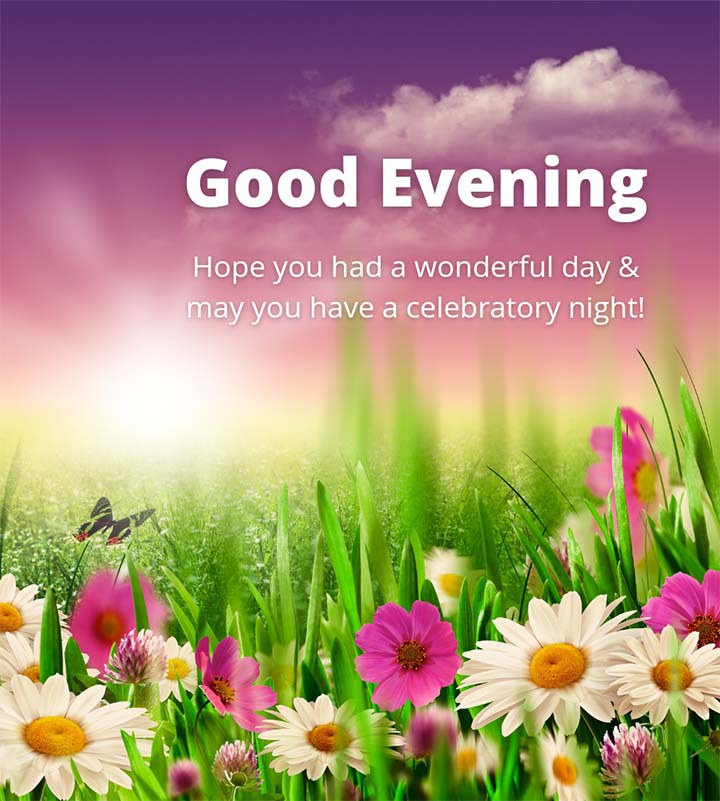 Good Evening Pics