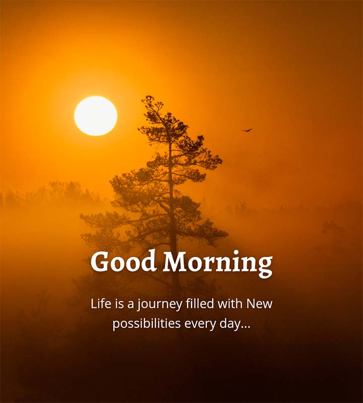 Good Morning Quotes