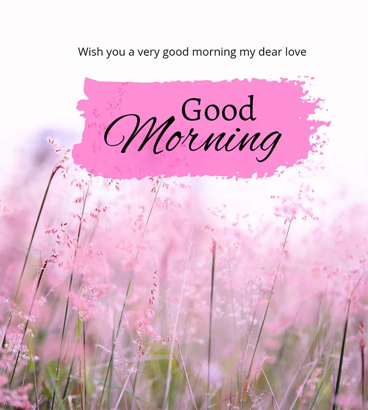 Good Morning Quotes Wish with Image