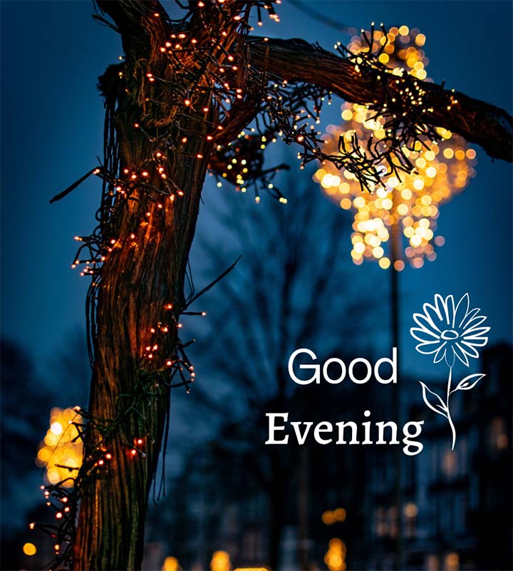 Colorful Good Evening With Images For Status
