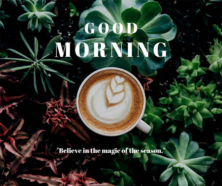 Inspiring Quotes Good Morning Pic