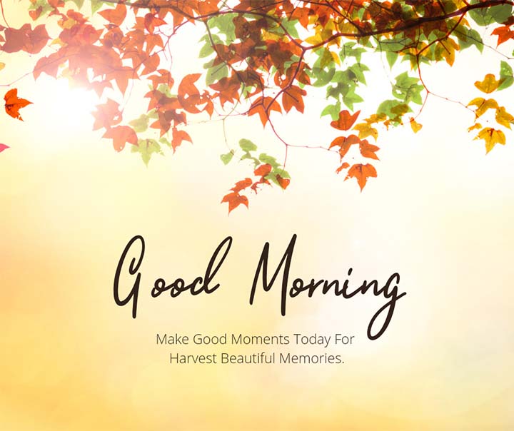 Good Morning Pics For Whatsapp