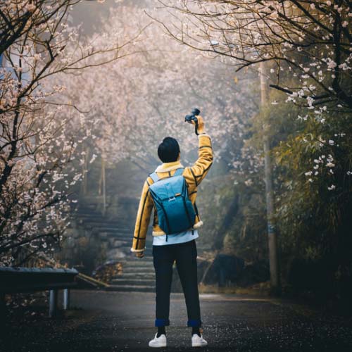 Best Photo For Whatsapp DP, A Boy Taking Picture