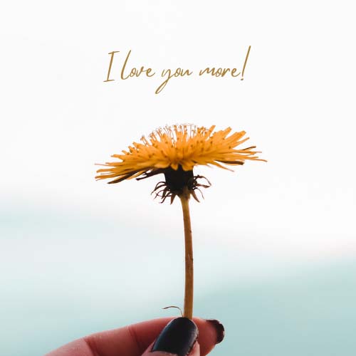 Love Dp Images For Whatsapp