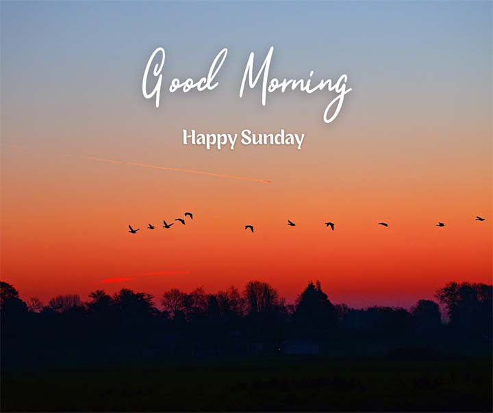 Good Morning Sunday Wishes Pics