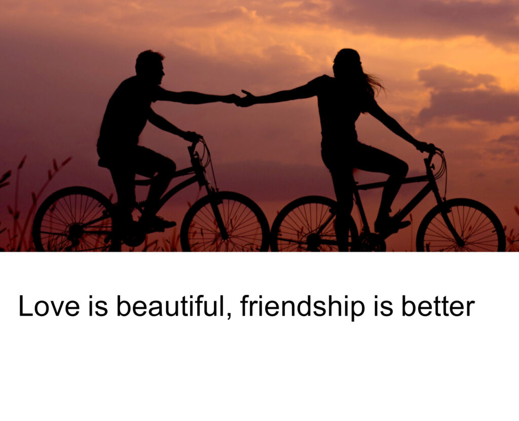 Captions on Friendship