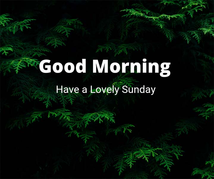 good morning sunday images for whatsapp