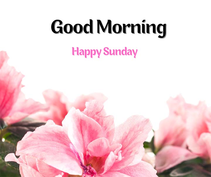 Happy Sunday Morning Pic