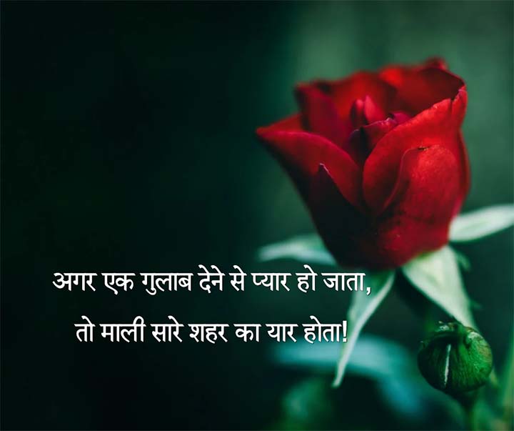 Love Status With Rose Flower in Background