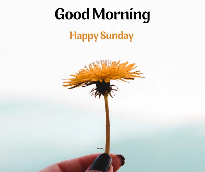 Good Morning Greetings For Sunday 