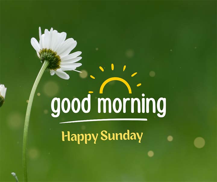 Good Morning Happy Sunday Picture