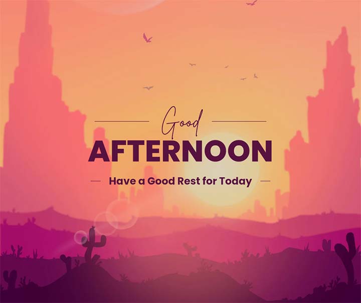 good afternoon photos