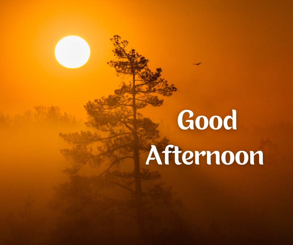 good afternoon images