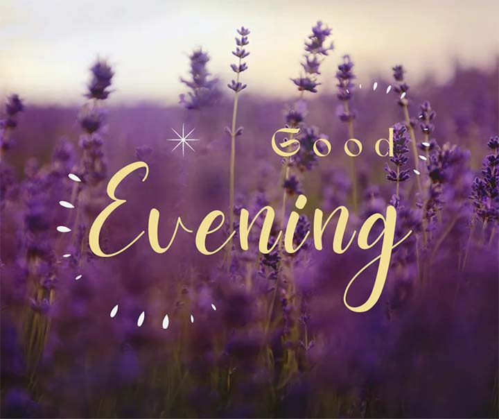 Good Evening Image for Whatsapp Status