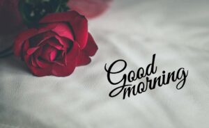 Good Morning Love Image & Pics