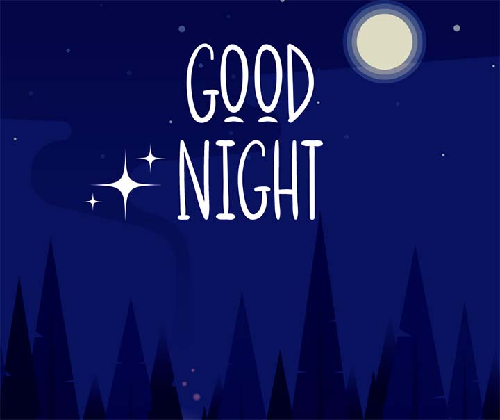 Good Night Picture