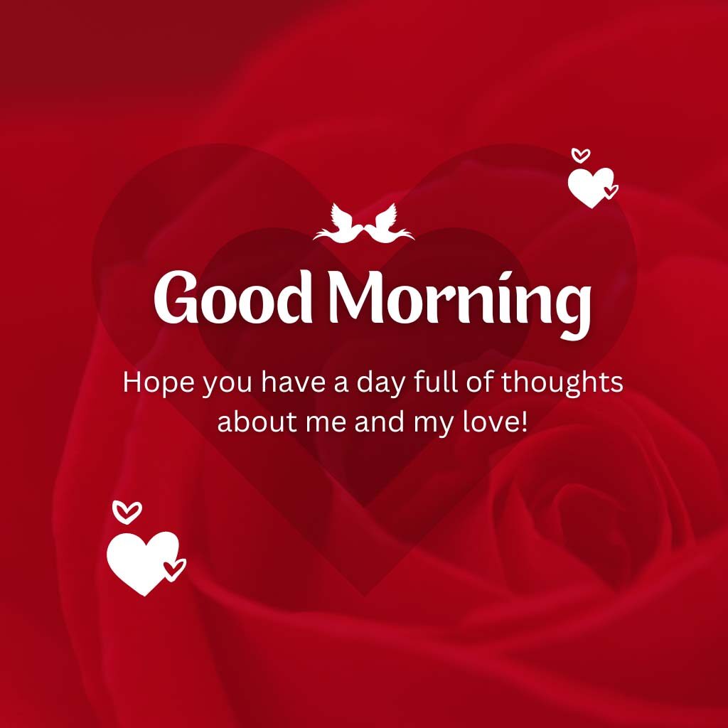 Romance Good Morning Pictures With Roses For Lover