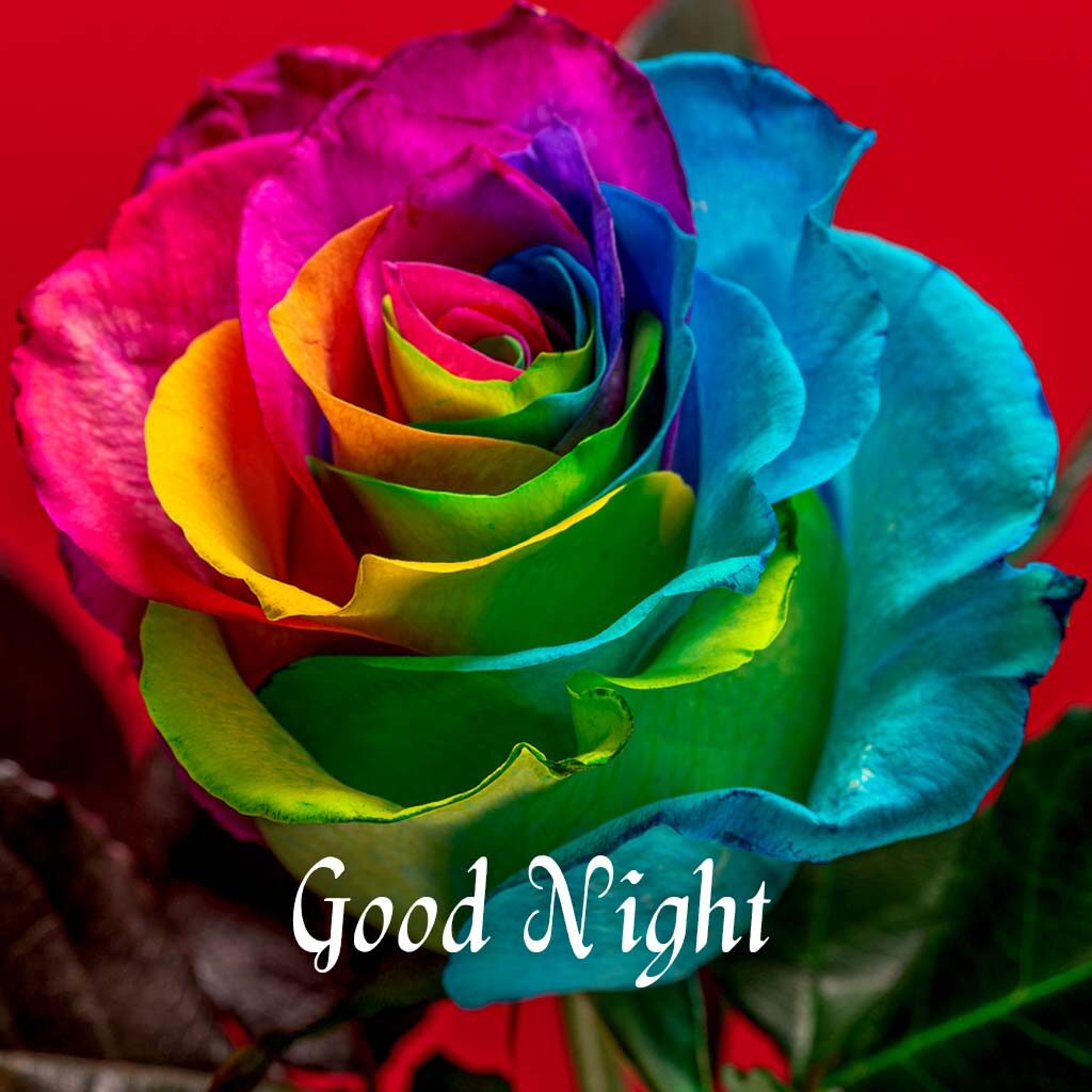 good night pics love