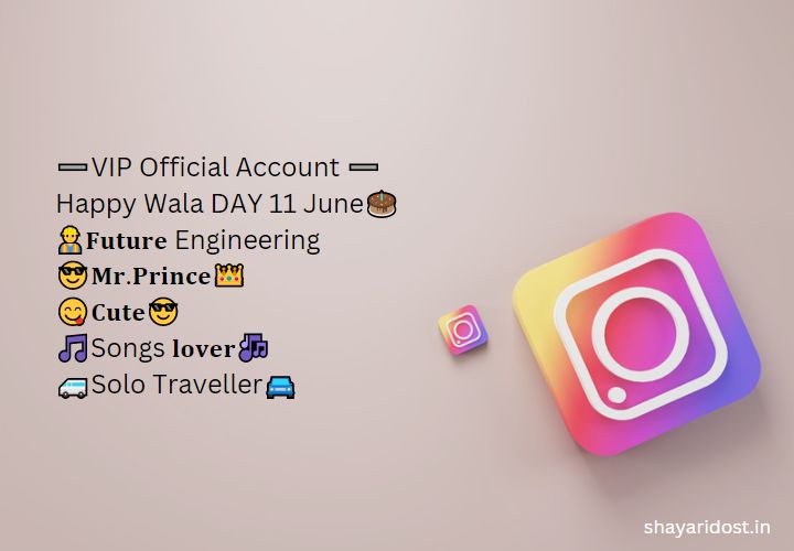 Bad Boy Bio For Instagram