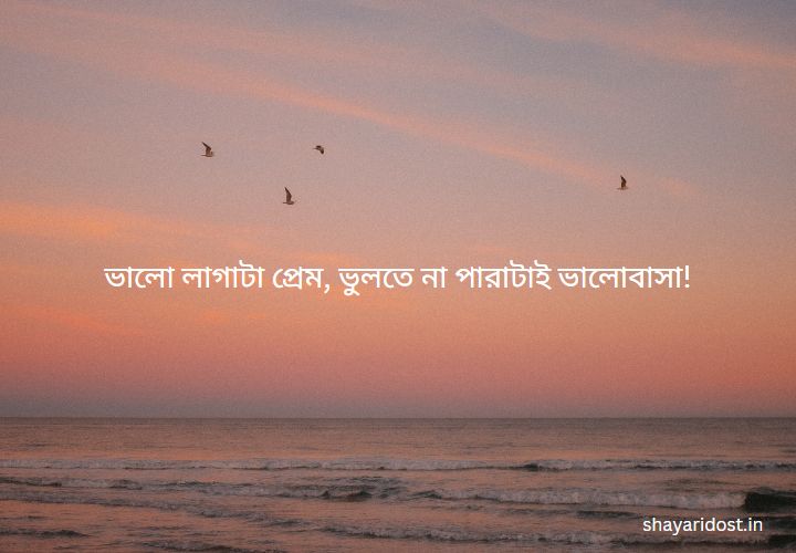 Cool Bengali Short Caption for DP 