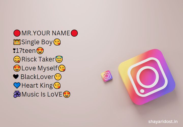 Instagram Bio For Boys Attitude 