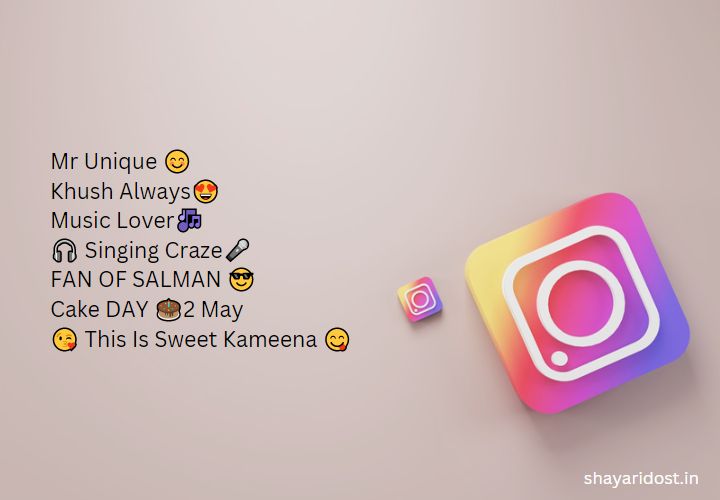 Instagram Bio For Boys In Stylish Font  